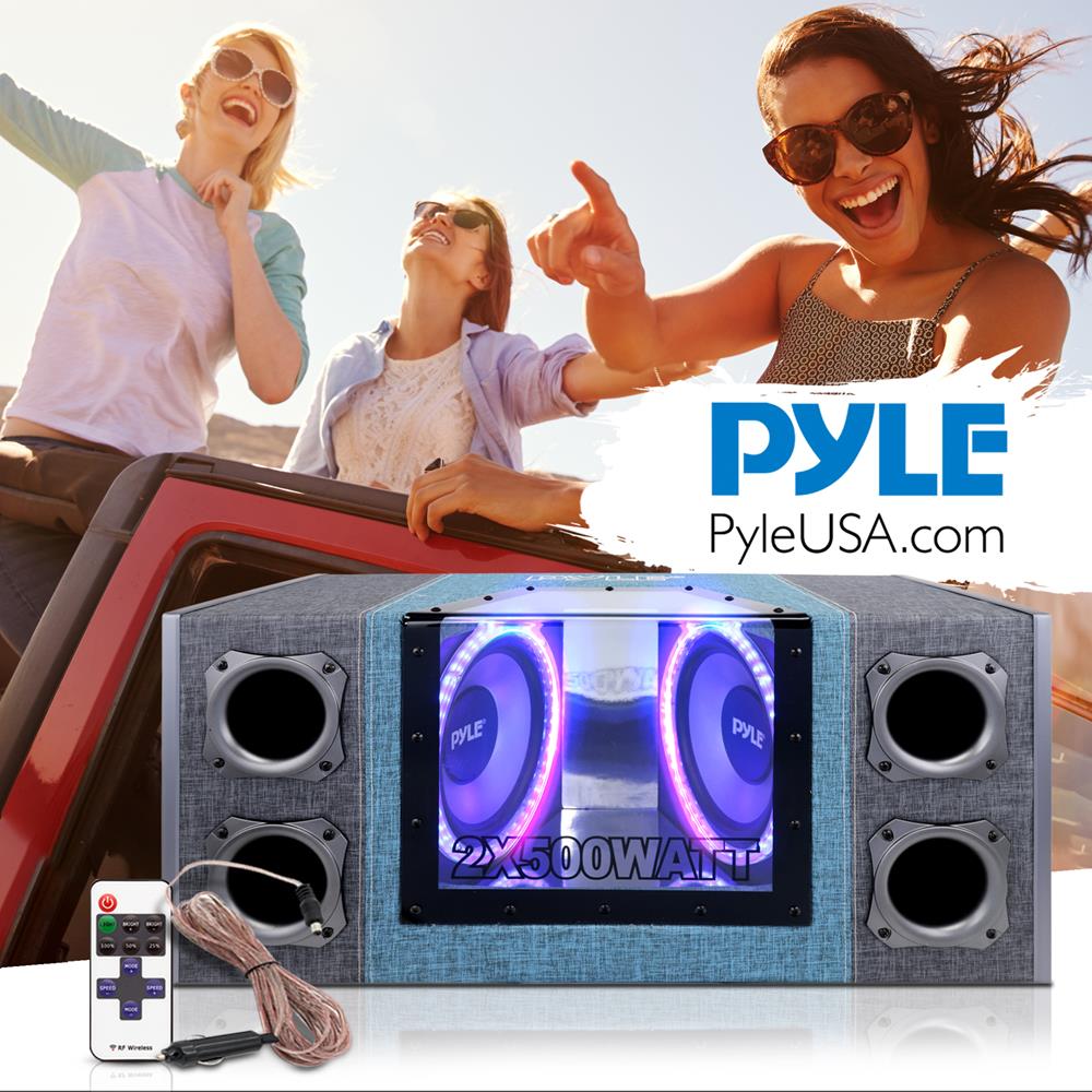 10" Dual Subwoofer Enclosure, High Power, Silver Cone