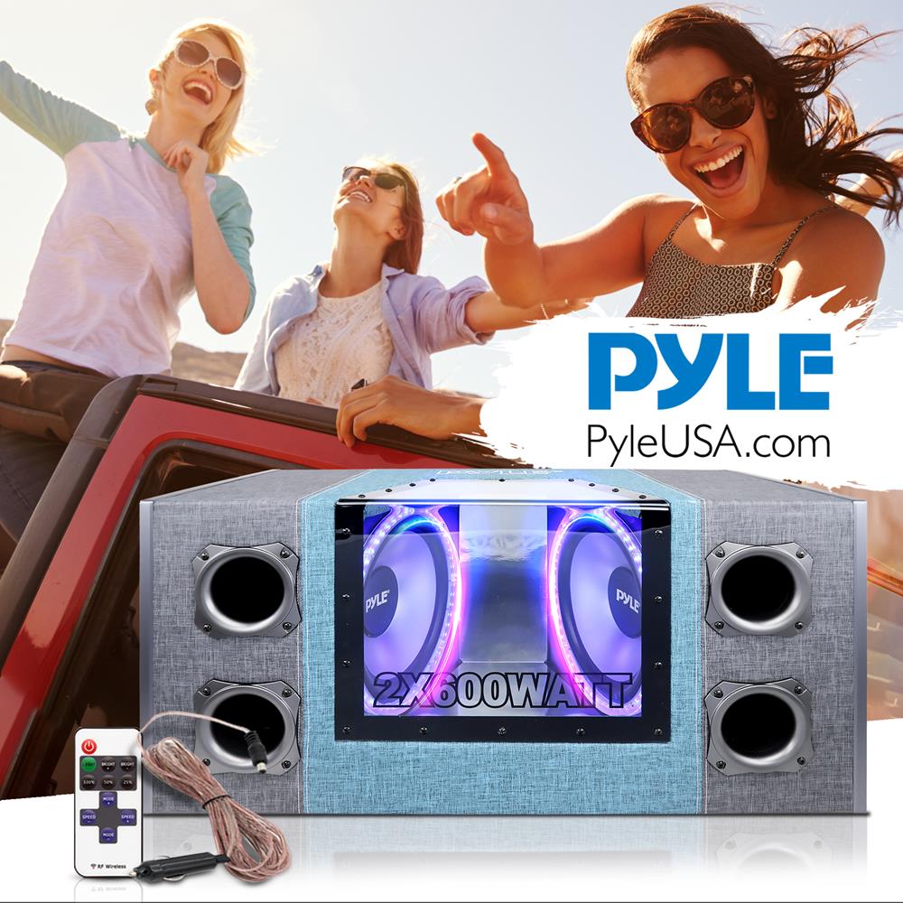 12" Dual Subwoofer Enclosure, High Power, Silver Cone