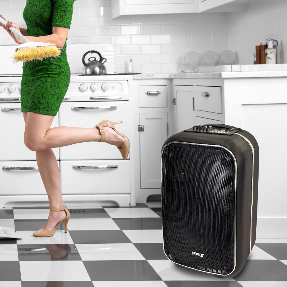 12" Portable Bluetooth Karaoke Speaker