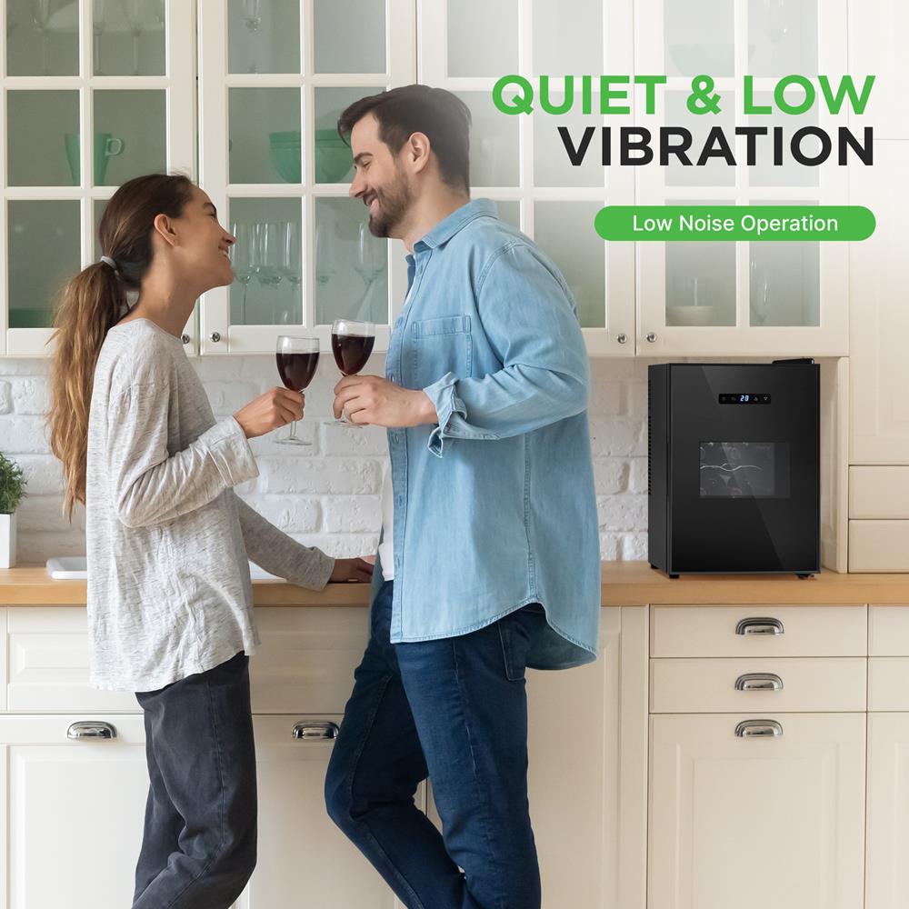 12 Bottle Wine Cooler, Adjustable Temp