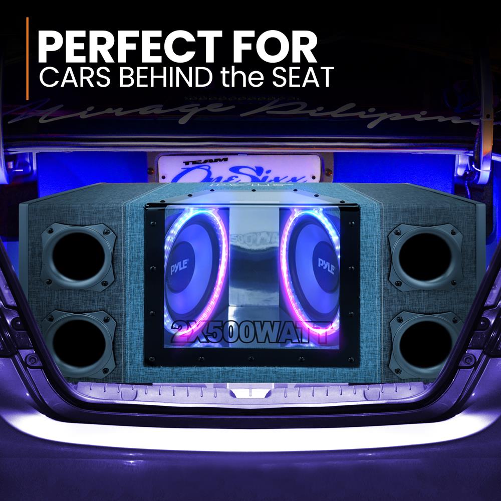 10" Dual Subwoofer Enclosure, High Power, Silver Cone