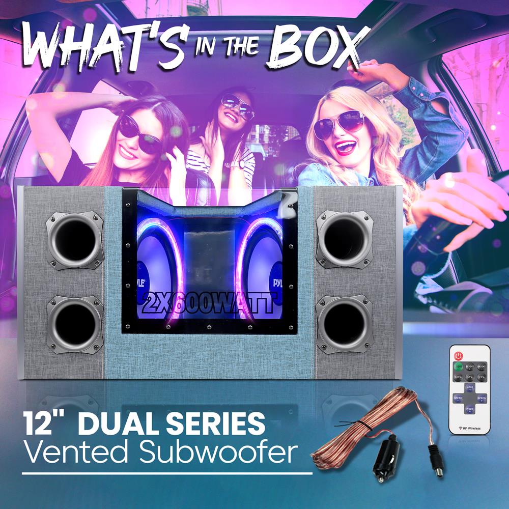 12" Dual Subwoofer Enclosure, High Power, Silver Cone