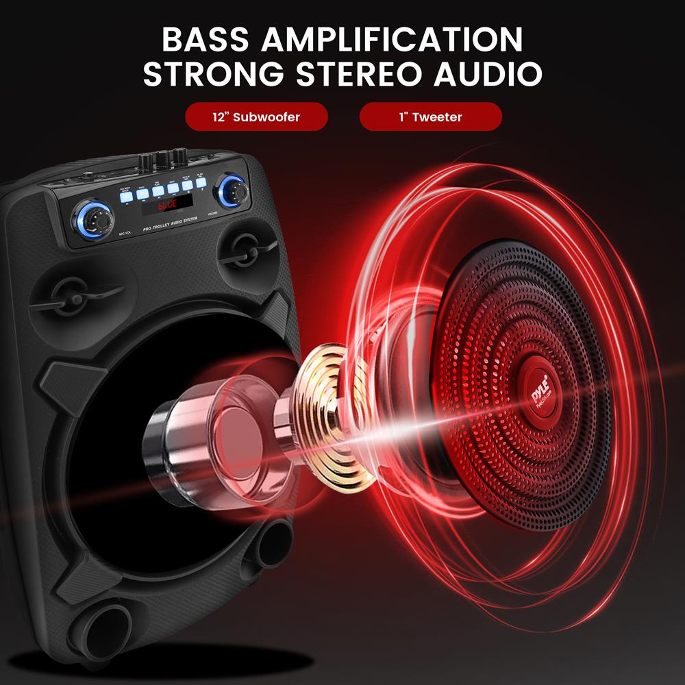 12" Portable Bluetooth PA Speaker 800W Rechargeable LED