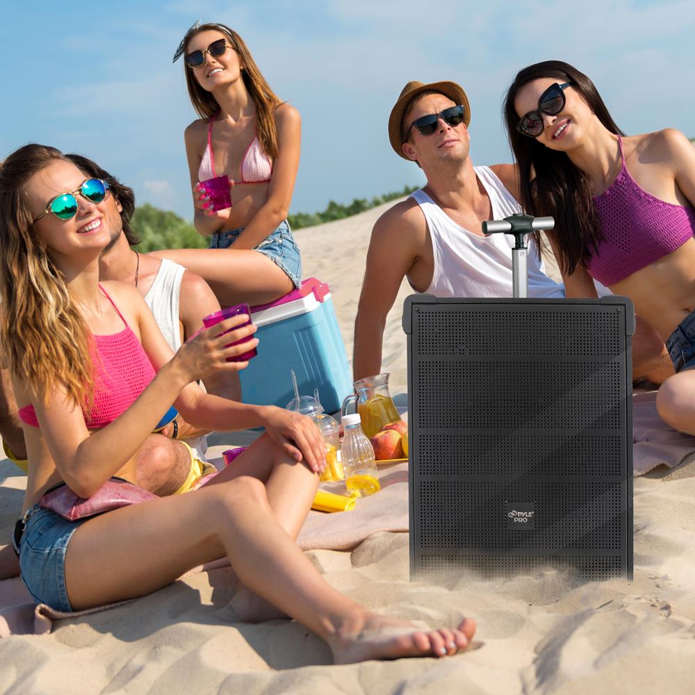 10" Portable Bluetooth Speaker System 600W Rechargeable