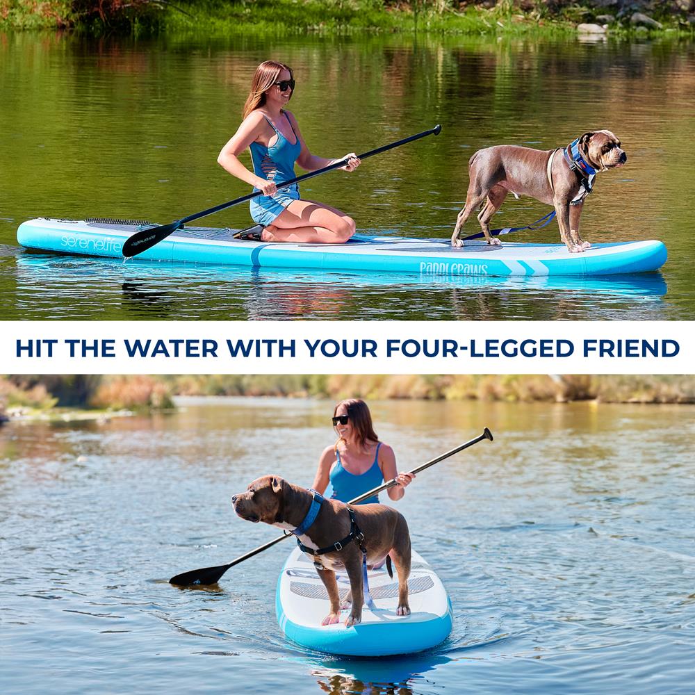 11'6" Inflatable SUP - Pet-Friendly