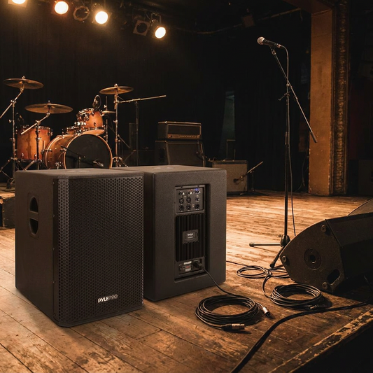 12" 1600W Subwoofer System, Louder Bass, DSP Processor, Wooden Enclosure