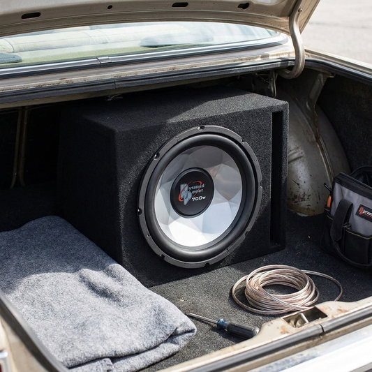 12" Chrome Woofer